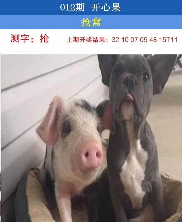 012期开心果[图]