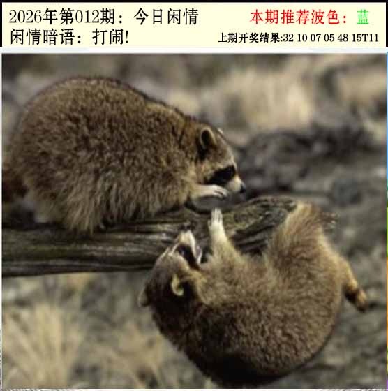 012期今日闲情2[图]