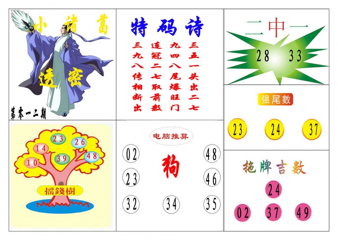 012期小诸葛[图]