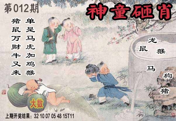 012期神童砸肖[图]