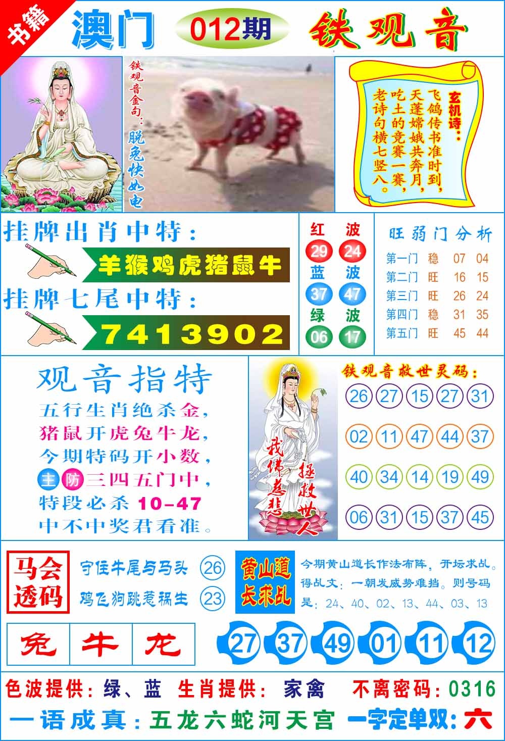 012期澳门铁观音[图]