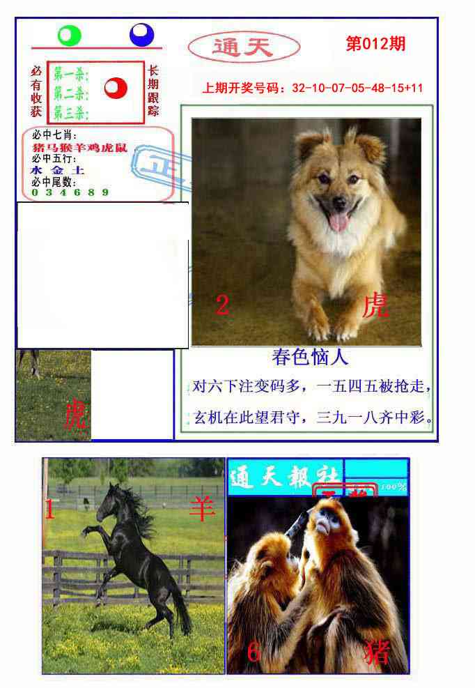 012期通天杀波图2[图]