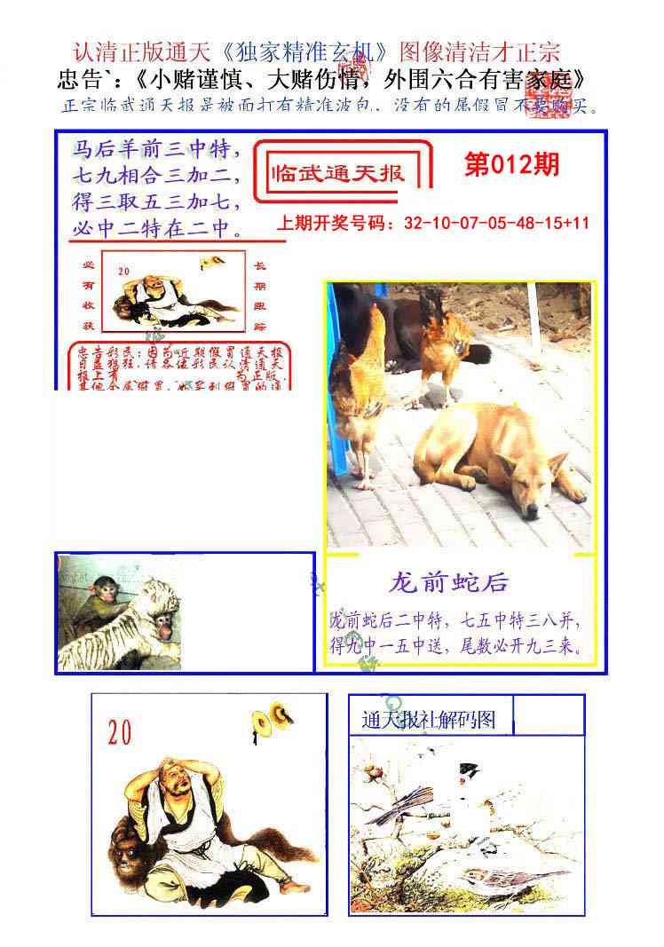 012期临武通天报[图]