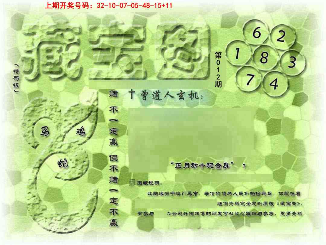 012期假新藏宝图[图]