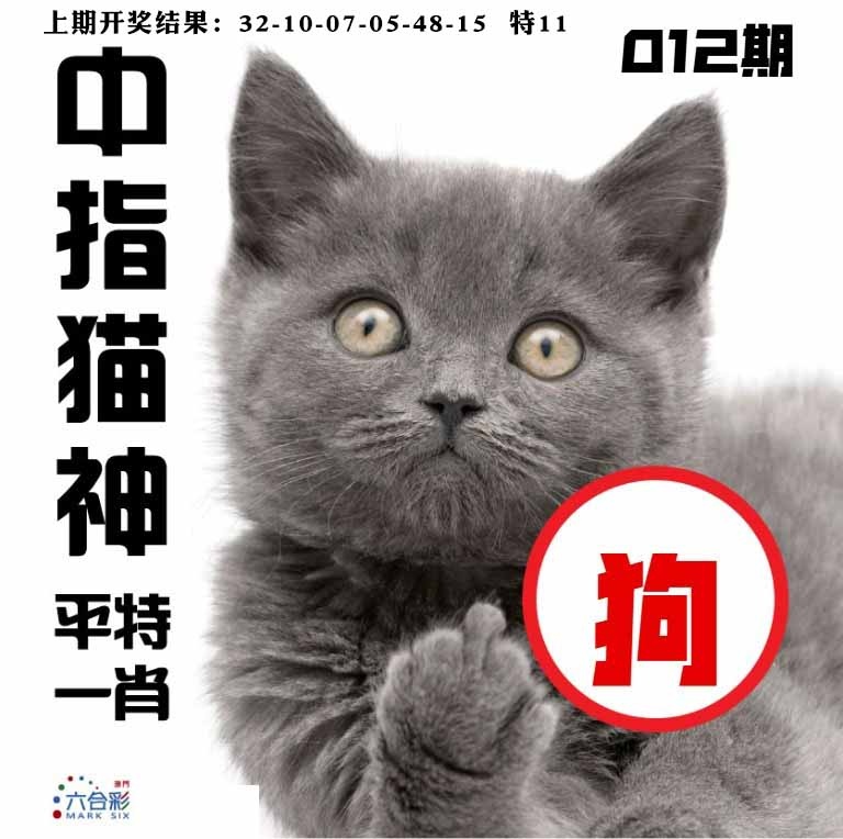 012期中指猫神[图]