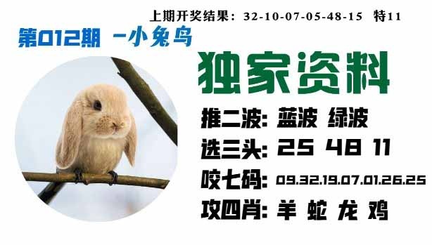 012期小兔鸟[图]