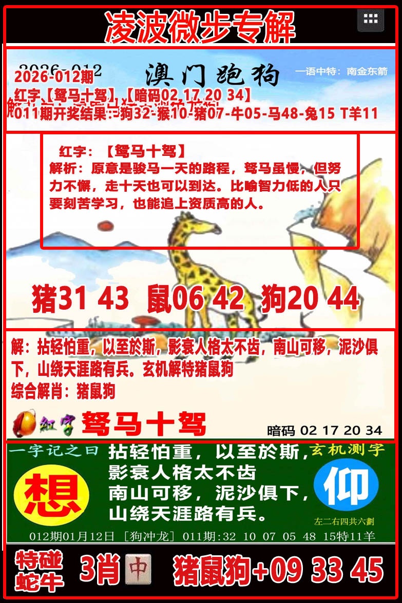 012期凌波微步[图]